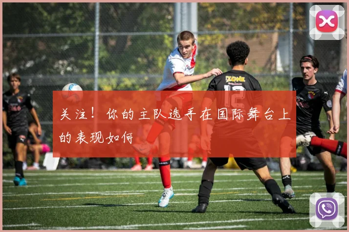 关注！你的主队选手在国际舞台上的表现如何