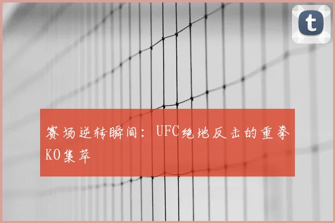 赛场逆转瞬间：UFC绝地反击的重拳KO集萃