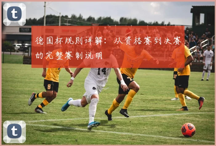 德国杯规则详解：从资格赛到决赛的完整赛制说明