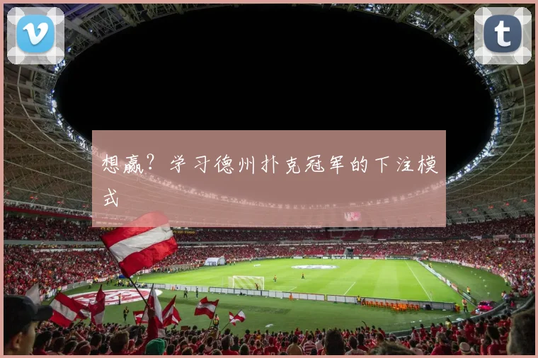 想赢？学习德州扑克冠军的下注模式