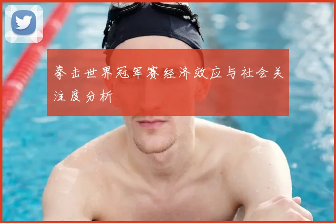 拳击世界冠军赛经济效应与社会关注度分析